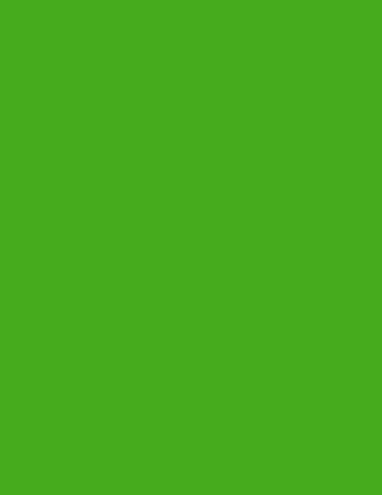 green atv flag