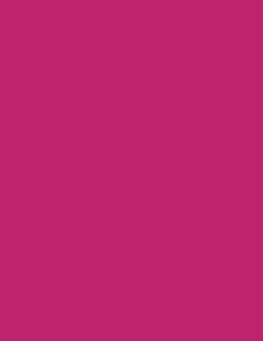 pink atv flag
